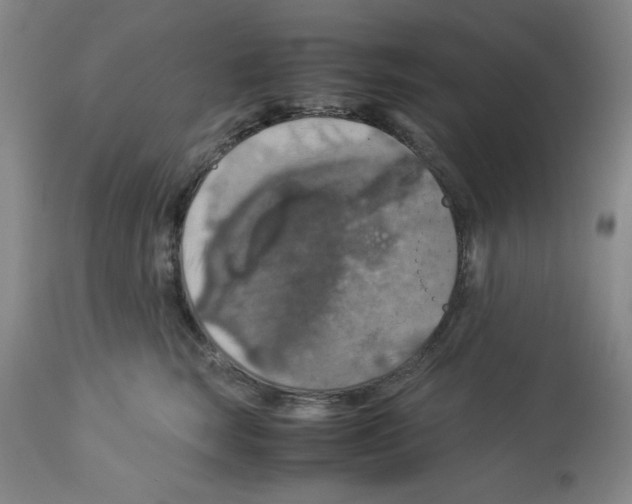 X0000112950663200910051220