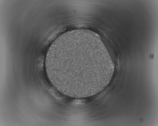 X0000112950664200910051220