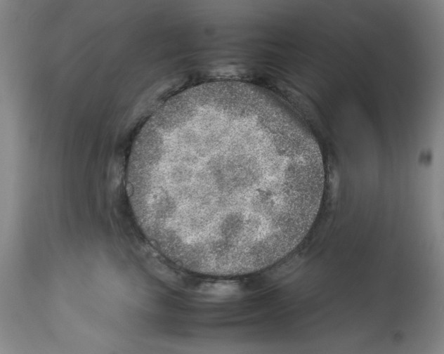 X0000112950665200910051220