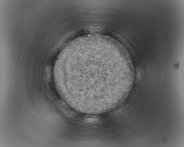 X0000112950667200910051220