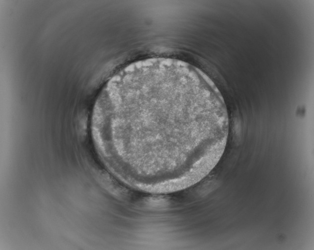 X0000112950668200910051220