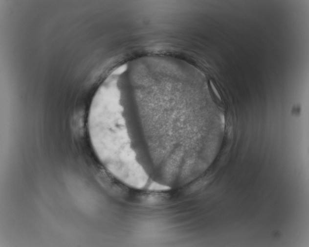 X0000112950670200910051220