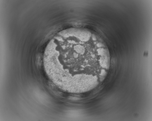X0000112950671200910051220