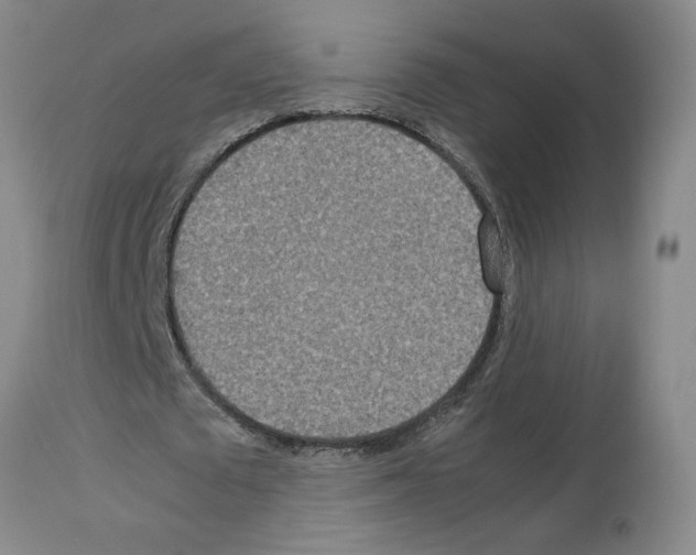X0000112950673200910051219
