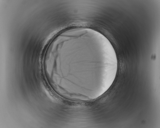X0000112950674200910051219