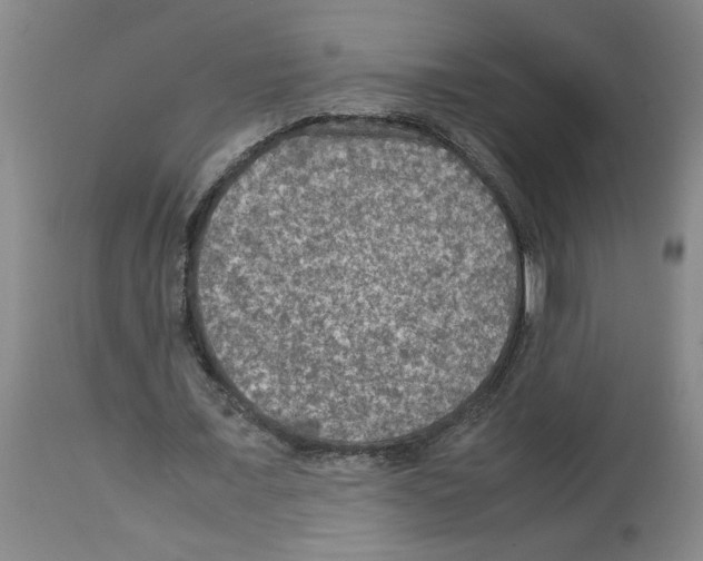 X0000112950675200910051219