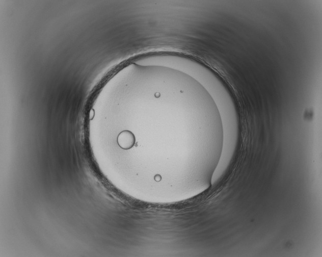 X0000112950676200910051219