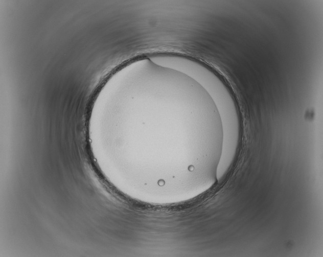 X0000112950677200910051219