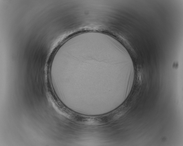 X0000112950678200910051219