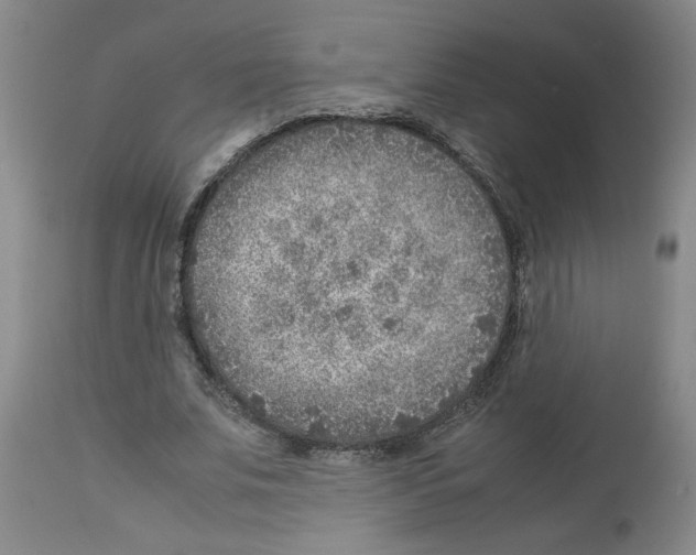 X0000112950679200910051219