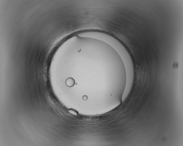 X0000112950680200910051219