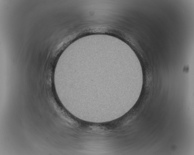 X0000112950681200910051219