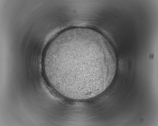 X0000112950682200910051219