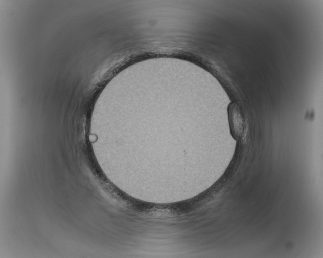 X0000112950685200910051219