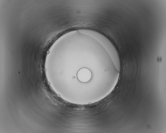 X0000112950688200910051219