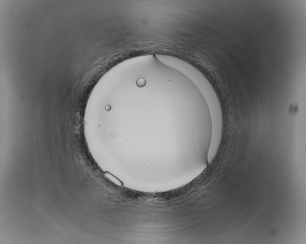 X0000112950689200910051219