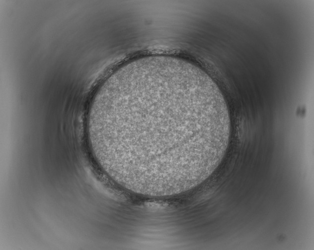 X0000112950690200910051219