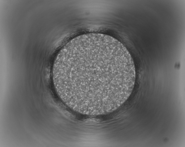 X0000112950691200910051219