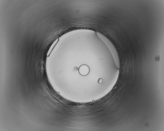X0000112950692200910051219
