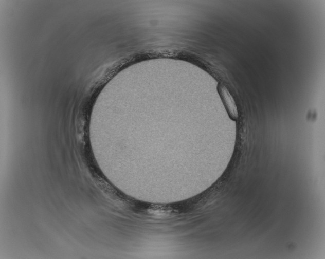 X0000112950693200910051219
