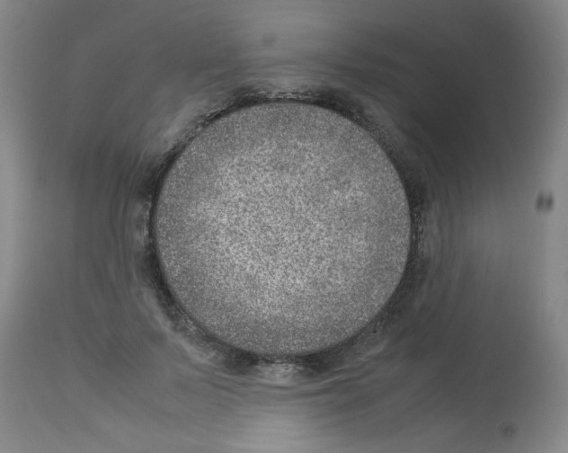 X0000112950695200910051219