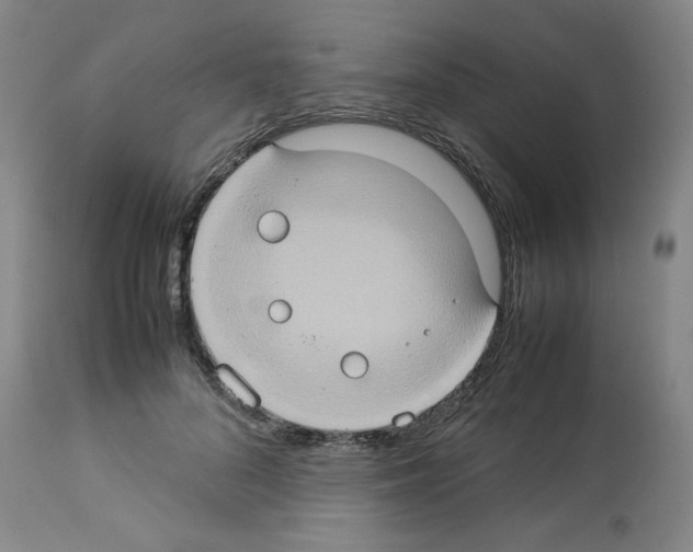 X0000112950696200910051219