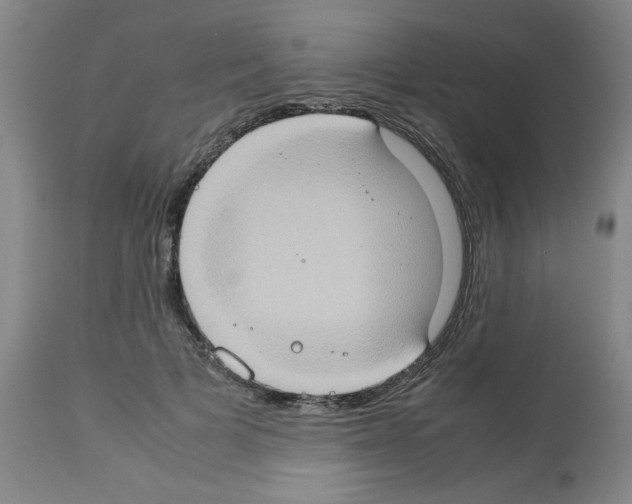 X0000112950697200910051219