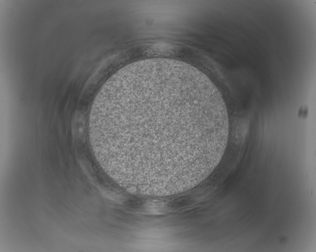 X0000112950701200910051219