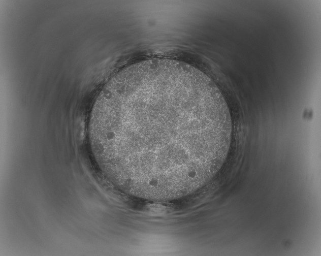 X0000112950703200910051219