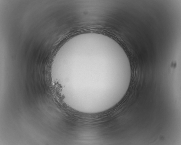 X0000112950704200910051219