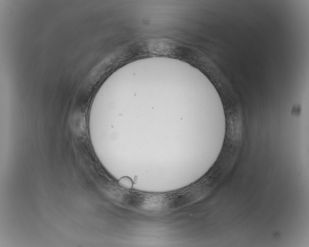 X0000112950705200910051219
