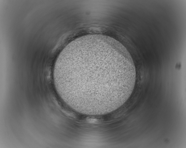 X0000112950706200910051219