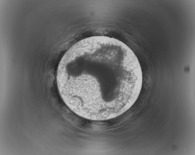 X0000112950707200910051219
