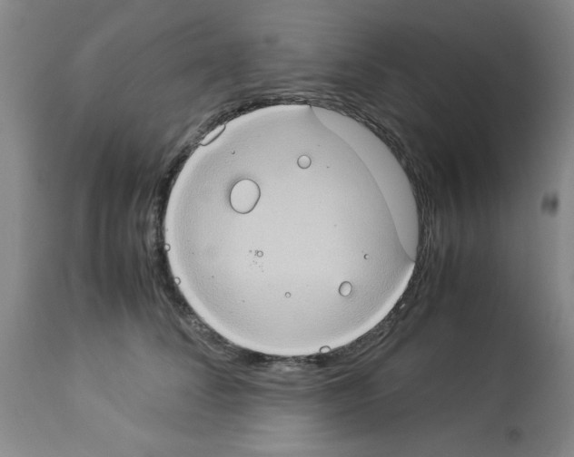 X0000112950708200910051219