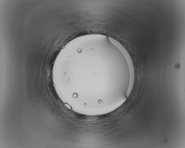 X0000112950709200910051219