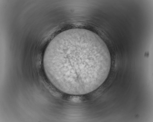 X0000112950710200910051219