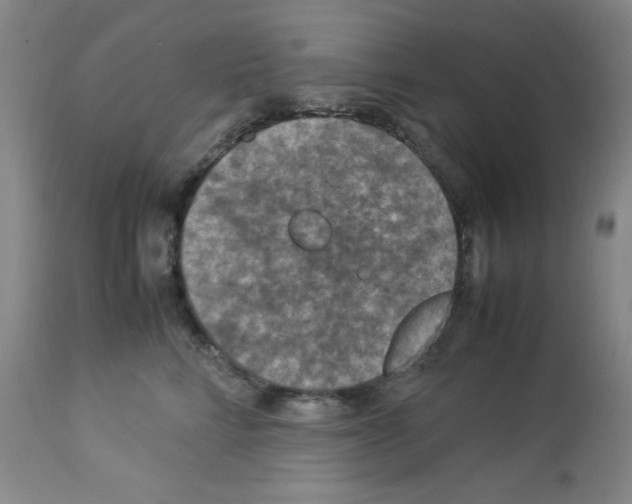 X0000112950712200910051219
