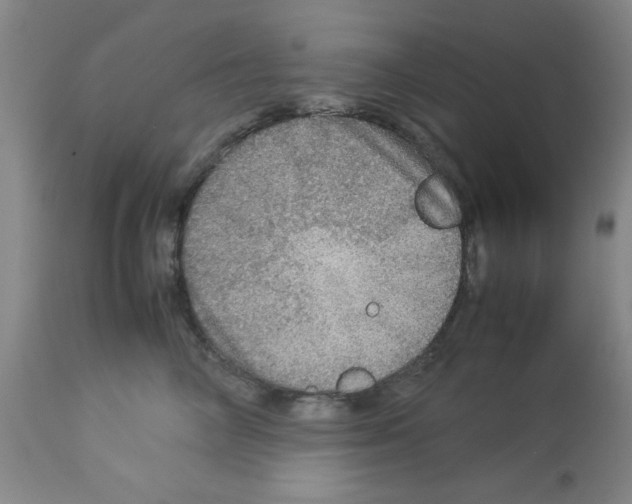 X0000112950714200910051219