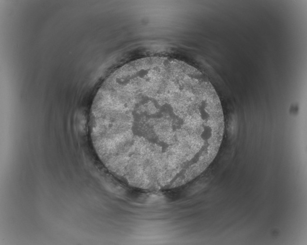 X0000112950715200910051219