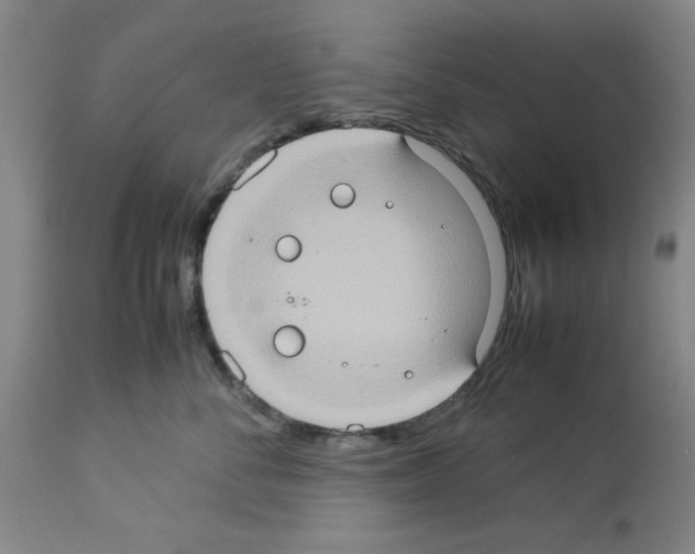 X0000112950716200910051219