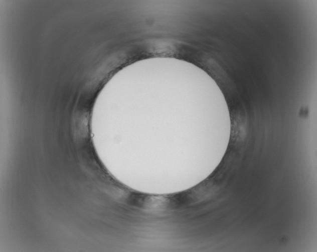 X0000112950717200910051219