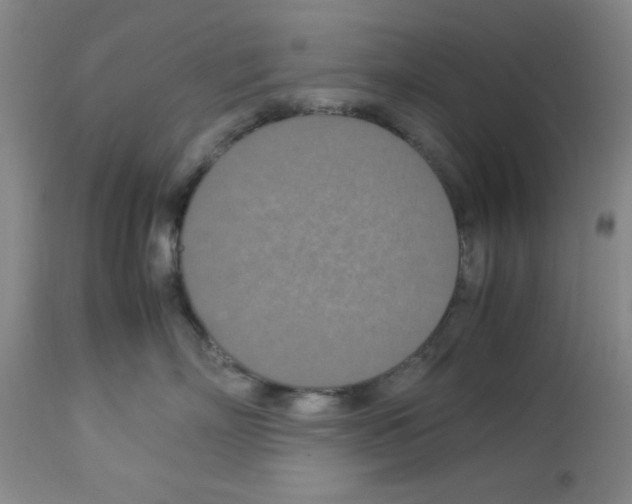 X0000112950718200910051219