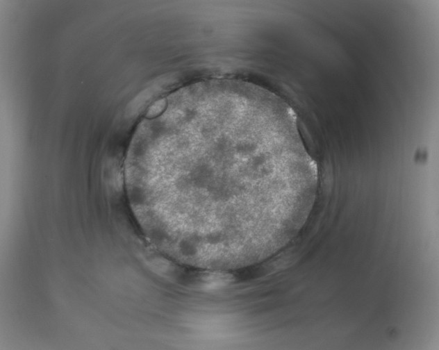 X0000112950719200910051219