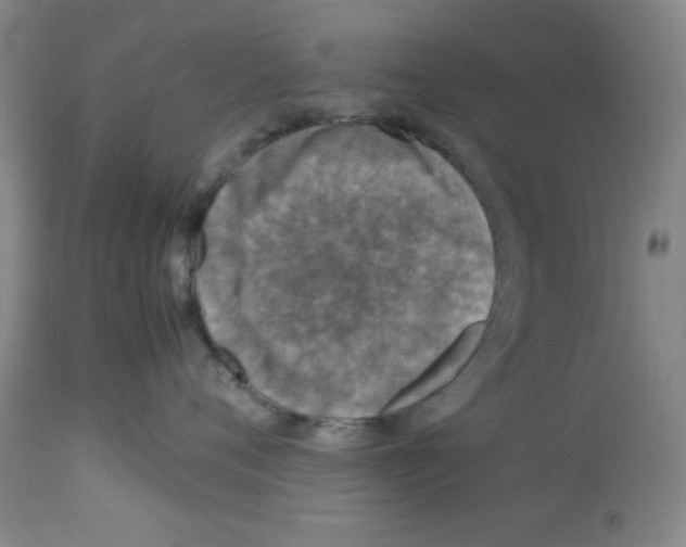 X0000112950720200910051219