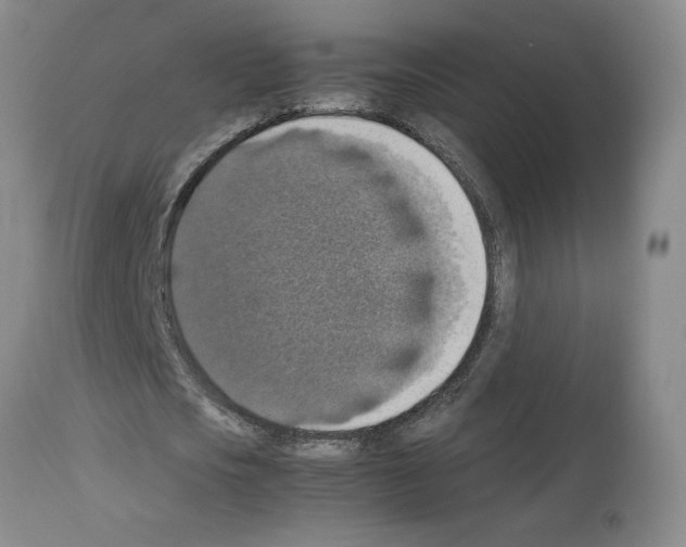 X0000112950721200910051218