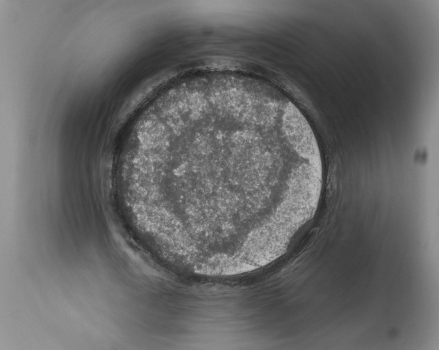 X0000112950722200910051218