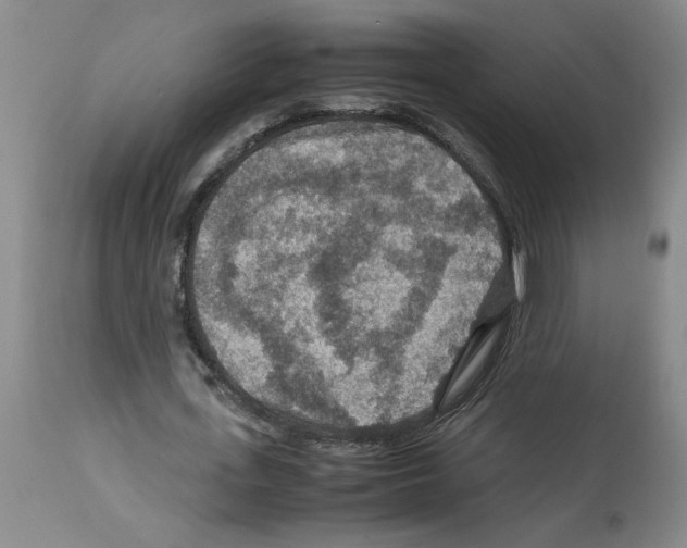 X0000112950723200910051218