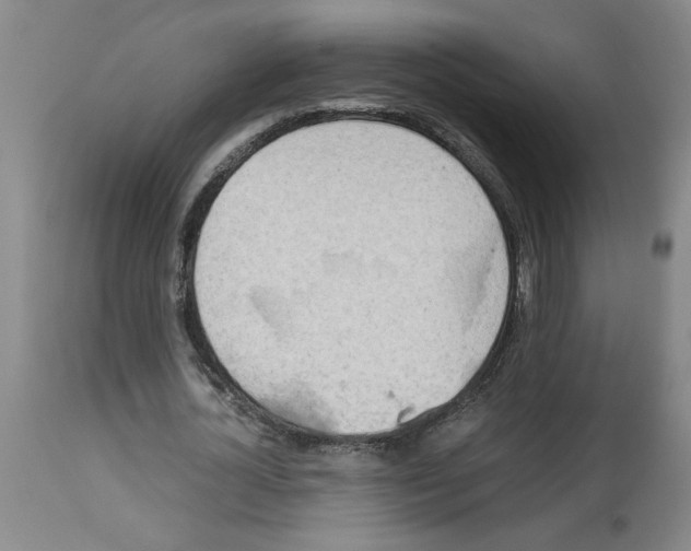 X0000112950724200910051218