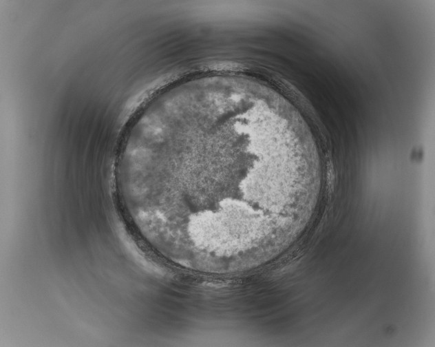 X0000112950725200910051218