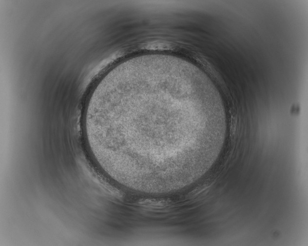 X0000112950727200910051218